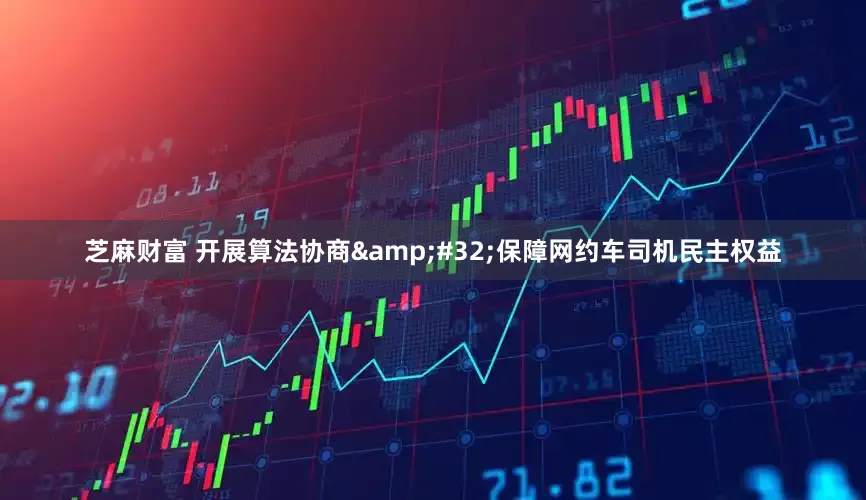 芝麻财富 开展算法协商&#32;保障网约车司机民主权益