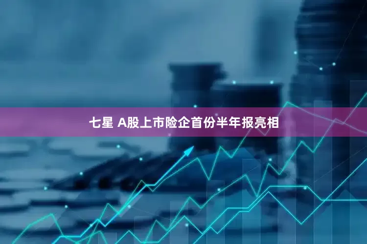七星 A股上市险企首份半年报亮相
