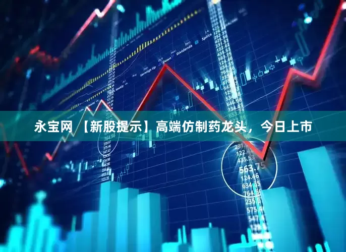 永宝网 【新股提示】高端仿制药龙头，今日上市